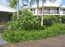 Kwikfynd Residential Landscaping
waaia