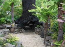 Kwikfynd Sustainable Landscaping
waaia