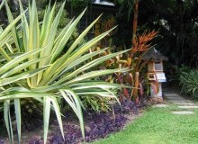 Kwikfynd Tropical Landscaping
waaia